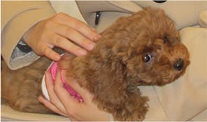 カウンセリングの様子