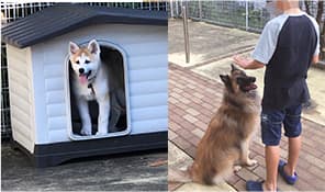 レッスンの様子